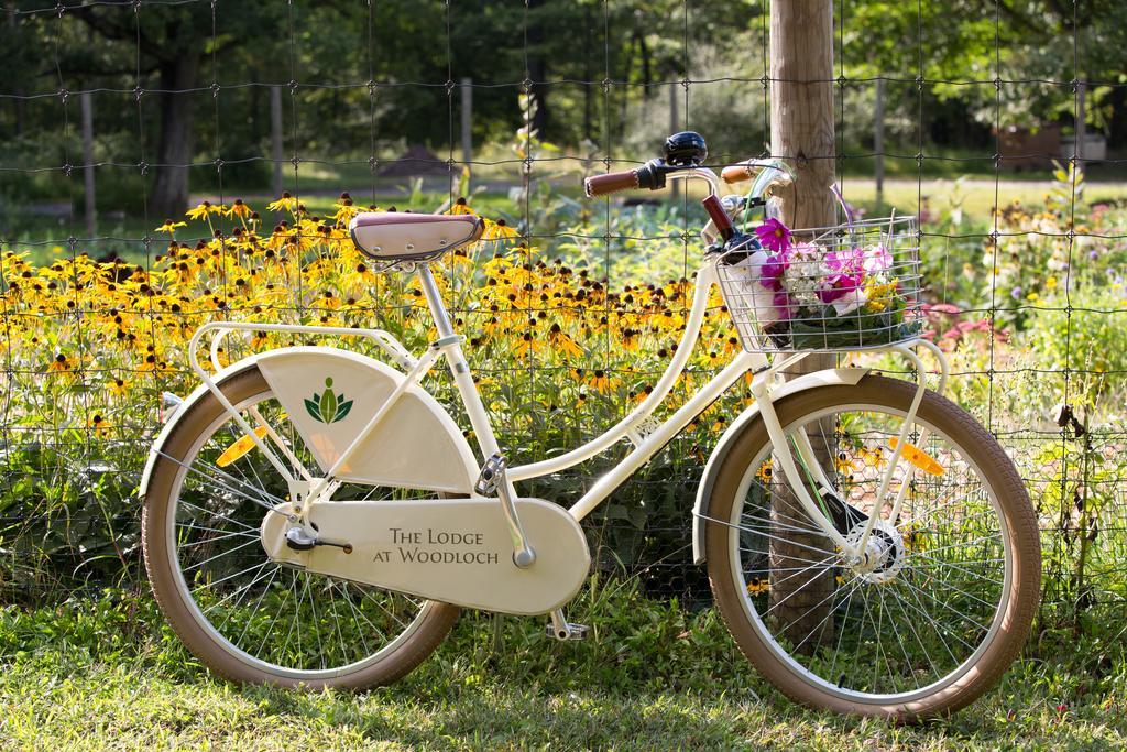 The Lodge At Woodloch Hawley Екстериор снимка