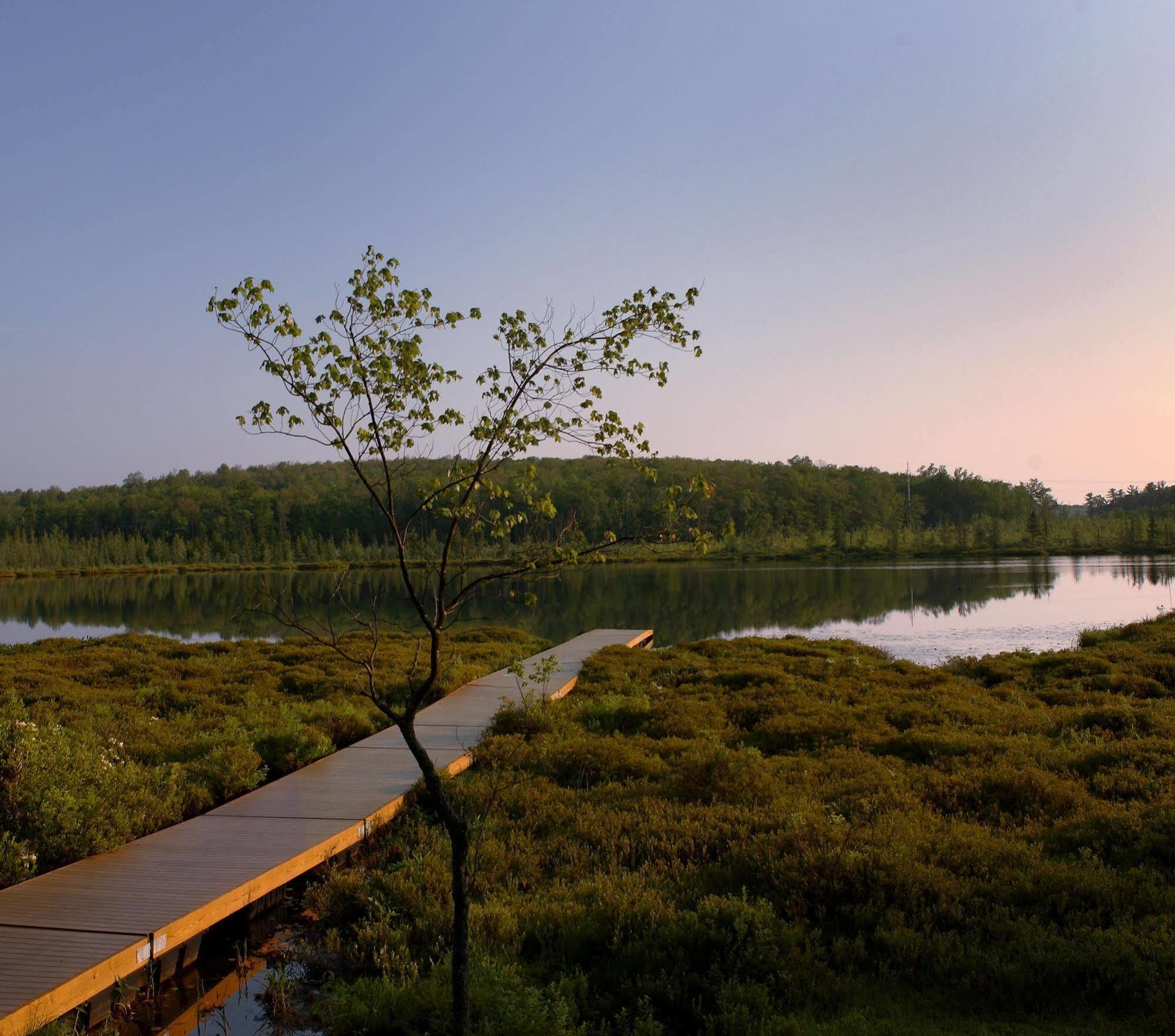 The Lodge At Woodloch Hawley Екстериор снимка
